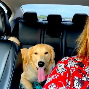 Meet your Posher, Holly